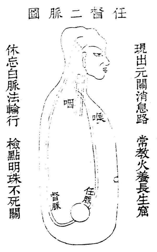 原書附圖：任督二脈圖