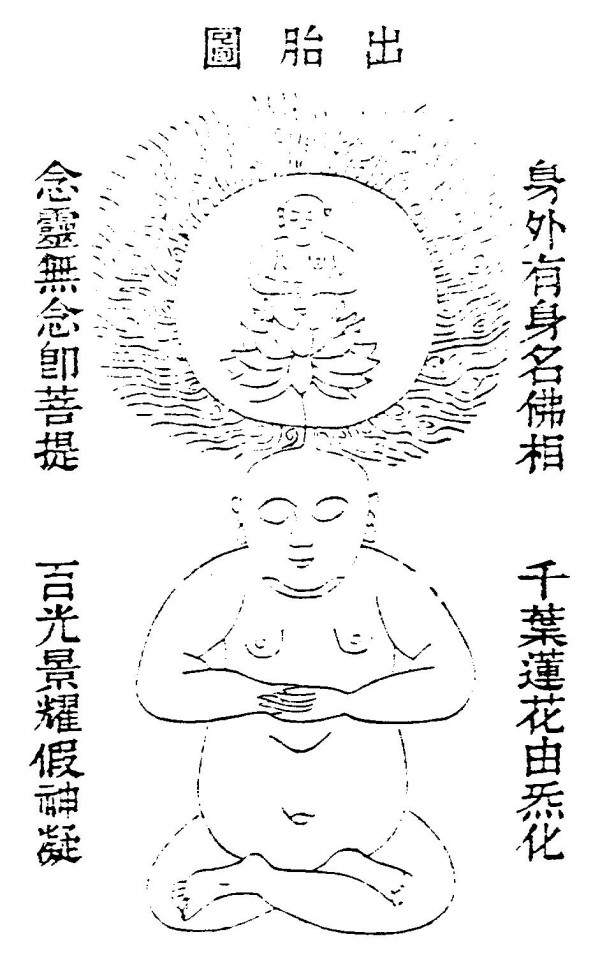 原書附圖：出胎圖