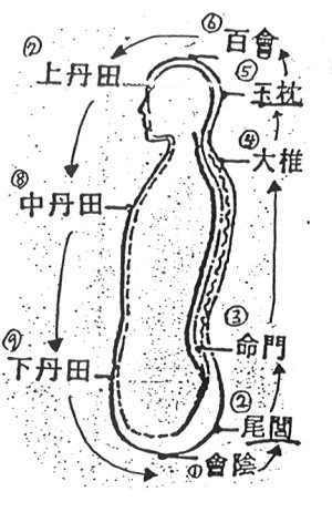 原書附圖：丹田和任督脈圖