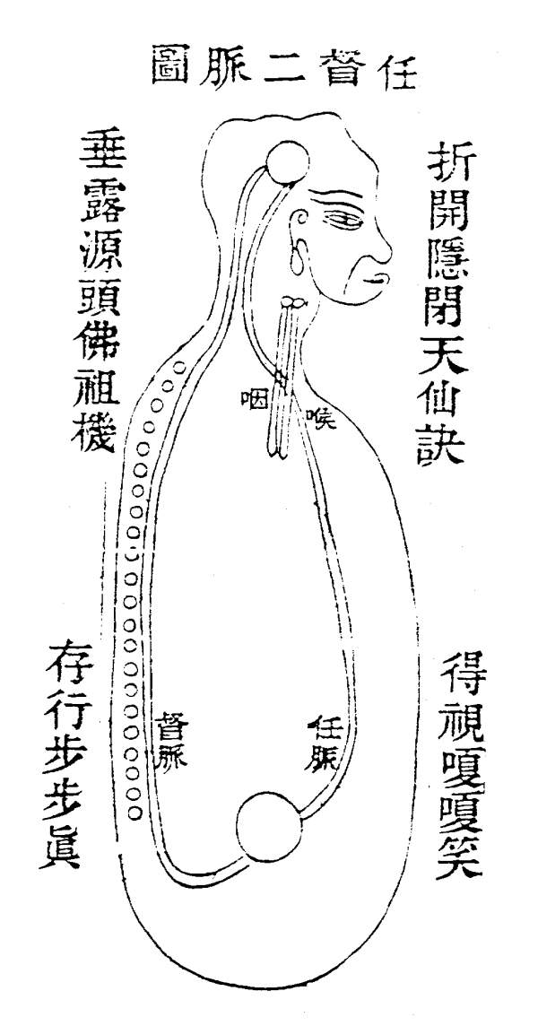 原書附圖：任督二脈圖